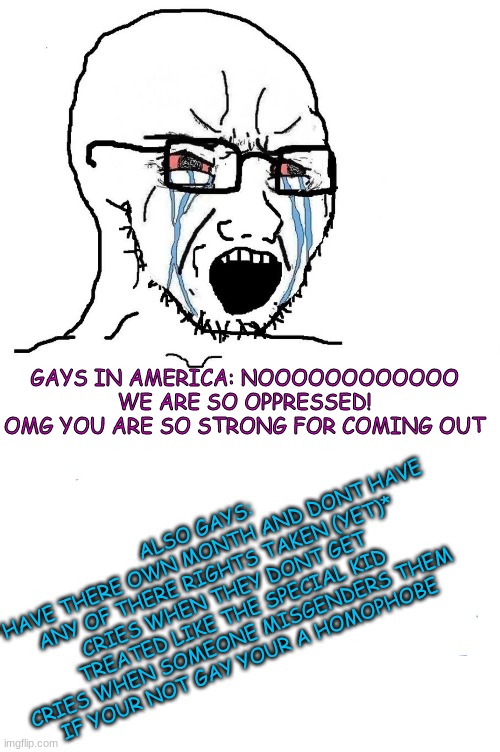 i can respect some gays, but not the average ones | ALSO GAYS: 
*HAVE THERE OWN MONTH AND DONT HAVE ANY OF THERE RIGHTS TAKEN (YET)*
CRIES WHEN THEY DONT GET TREATED LIKE THE SPECIAL KID
CRIES WHEN SOMEONE MISGENDERS THEM
IF YOUR NOT GAY YOUR A HOMOPHOBE; GAYS IN AMERICA: NOOOOOOOOOOOO WE ARE SO OPPRESSED!
OMG YOU ARE SO STRONG FOR COMING OUT | image tagged in angry soy boy blank meme | made w/ Imgflip meme maker