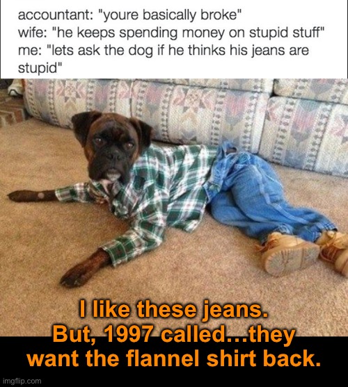 Dog Jeans | I like these jeans. But, 1997 called…they want the flannel shirt back. | image tagged in funny memes,funny dog memes | made w/ Imgflip meme maker