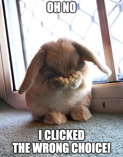 I clicked the wrong one! | OH NO; I CLICKED THE WRONG CHOICE! | image tagged in embarrassed bunny | made w/ Imgflip meme maker