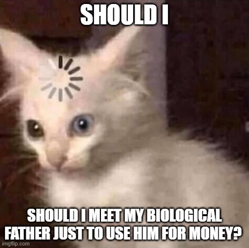His child support is 14 years overdue | SHOULD I; SHOULD I MEET MY BIOLOGICAL FATHER JUST TO USE HIM FOR MONEY? | image tagged in kitty thonk | made w/ Imgflip meme maker