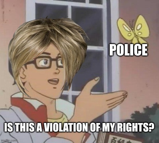 no violations here karen | POLICE; IS THIS A VIOLATION OF MY RIGHTS? | image tagged in karen,fun,is this a pigeon | made w/ Imgflip meme maker