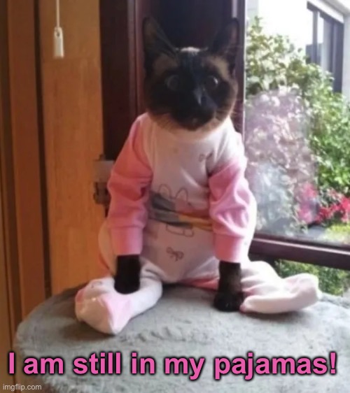 I am still in my pajamas! | made w/ Imgflip meme maker