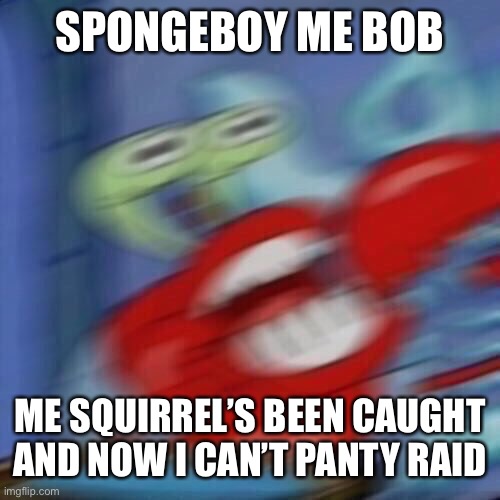 Mr krabs blur | SPONGEBOY ME BOB ME SQUIRREL’S BEEN CAUGHT AND NOW I CAN’T PANTY RAID | image tagged in mr krabs blur | made w/ Imgflip meme maker