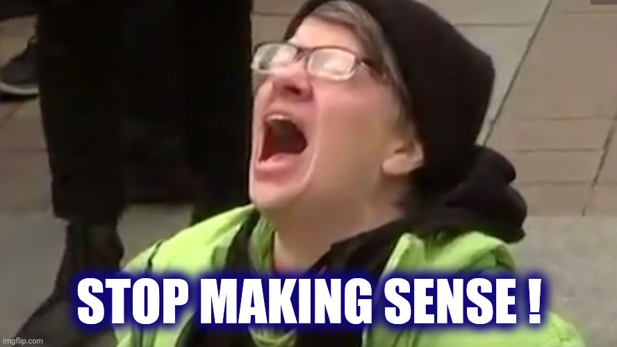 Screaming Liberal  | STOP MAKING SENSE ! | image tagged in screaming liberal | made w/ Imgflip meme maker