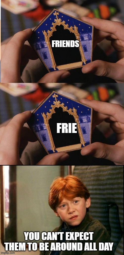 Harry Potter Chocolate Frog box | FRIENDS; FRIE; YOU CAN'T EXPECT THEM TO BE AROUND ALL DAY | image tagged in harry potter chocolate frog box | made w/ Imgflip meme maker