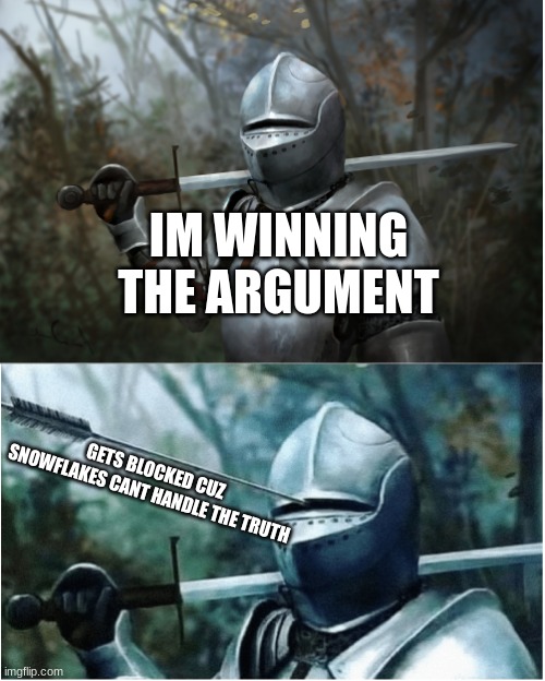 snow | IM WINNING THE ARGUMENT; GETS BLOCKED CUZ SNOWFLAKES CANT HANDLE THE TRUTH | image tagged in knight with arrow in helmet | made w/ Imgflip meme maker