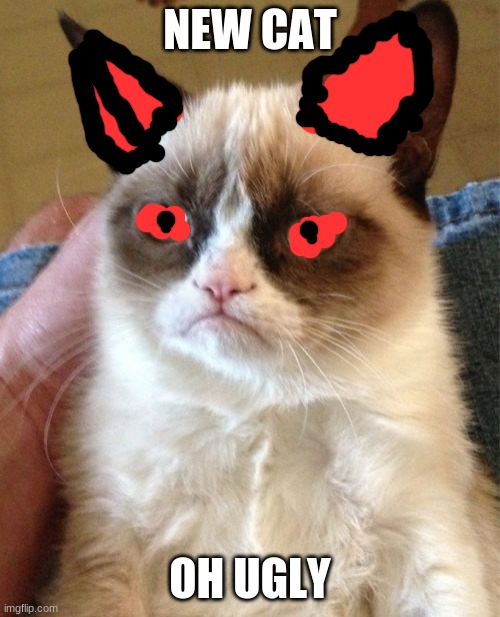 Grumpy Cat | NEW CAT; OH UGLY | image tagged in memes,grumpy cat | made w/ Imgflip meme maker