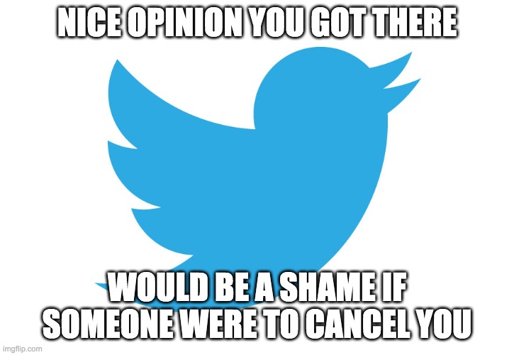 twitter be like: | NICE OPINION YOU GOT THERE; WOULD BE A SHAME IF SOMEONE WERE TO CANCEL YOU | image tagged in twitter | made w/ Imgflip meme maker