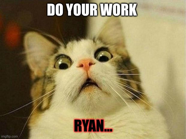 Scared Cat Meme | DO YOUR WORK; RYAN... | image tagged in memes,scared cat | made w/ Imgflip meme maker