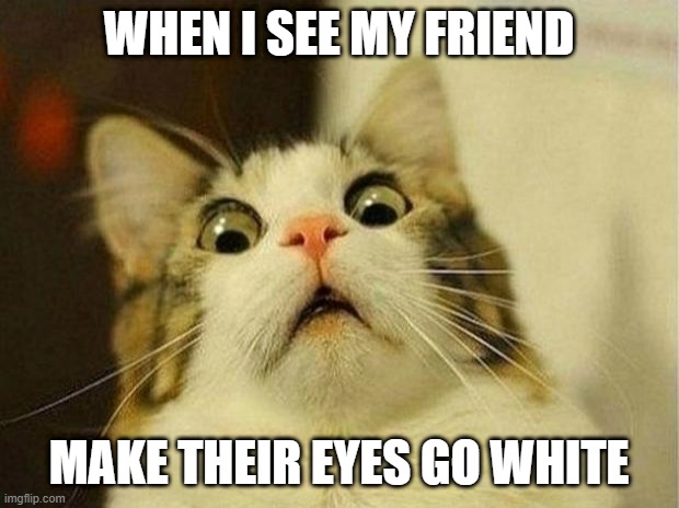 Scared Cat Meme | WHEN I SEE MY FRIEND; MAKE THEIR EYES GO WHITE | image tagged in memes,scared cat | made w/ Imgflip meme maker