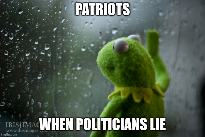 When Politicians Lie | PATRIOTS; WHEN POLITICIANS LIE | image tagged in kermit the frog rainy day,politicians,lies,government,disappointment | made w/ Imgflip meme maker