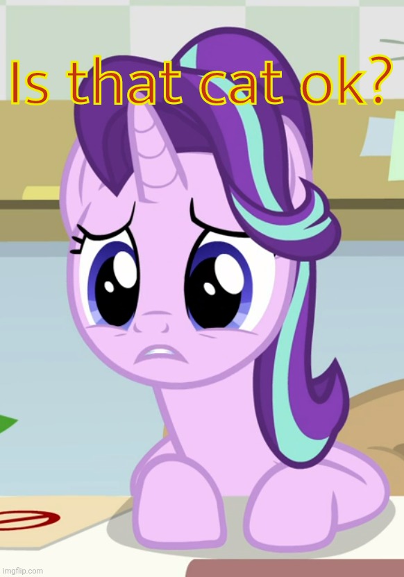 Concerned Glimmer (MLP) | Is that cat ok? | image tagged in concerned glimmer mlp | made w/ Imgflip meme maker