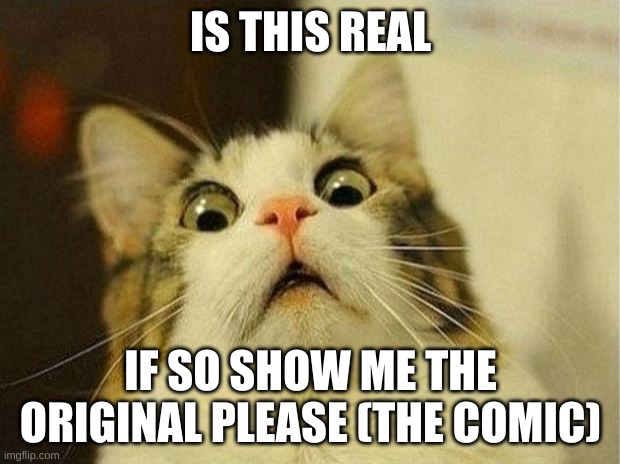 Scared Cat Meme | IS THIS REAL IF SO SHOW ME THE ORIGINAL PLEASE (THE COMIC) | image tagged in memes,scared cat | made w/ Imgflip meme maker
