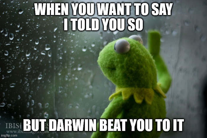 Too Late | WHEN YOU WANT TO SAY
I TOLD YOU SO; BUT DARWIN BEAT YOU TO IT | image tagged in kermit the frog rainy day,darwin award | made w/ Imgflip meme maker