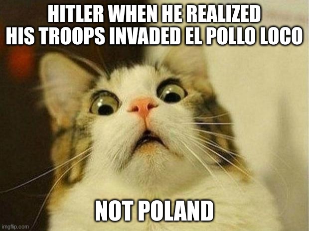 Scared Cat | HITLER WHEN HE REALIZED HIS TROOPS INVADED EL POLLO LOCO; NOT POLAND | image tagged in memes,scared cat,ww2,world war 2 | made w/ Imgflip meme maker