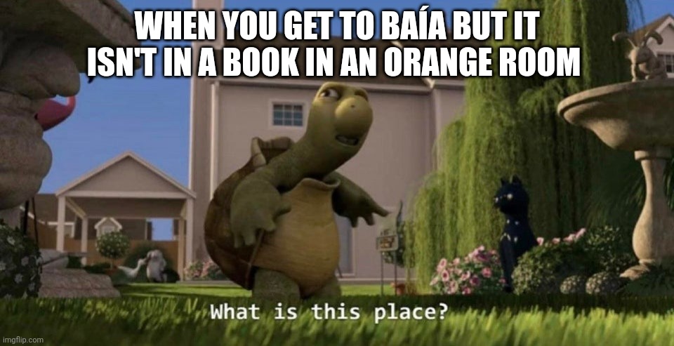 Three Caballeros meme | WHEN YOU GET TO BAÍA BUT IT ISN'T IN A BOOK IN AN ORANGE ROOM | image tagged in what is this place | made w/ Imgflip meme maker