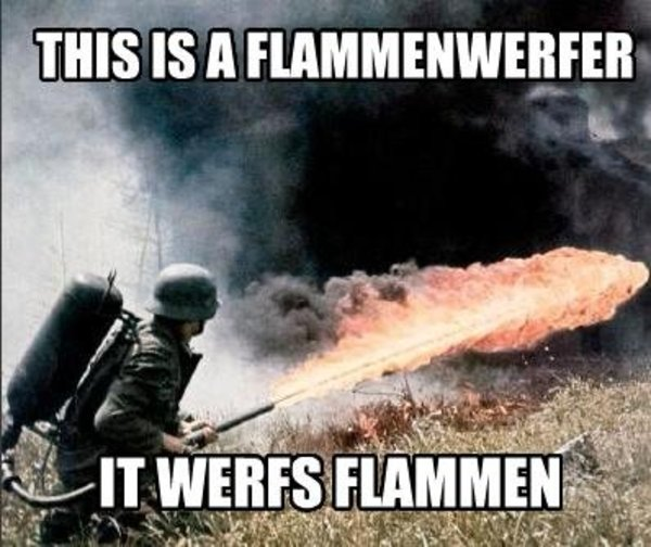 High Quality THIS IS A FLAMMENWERFER Blank Meme Template