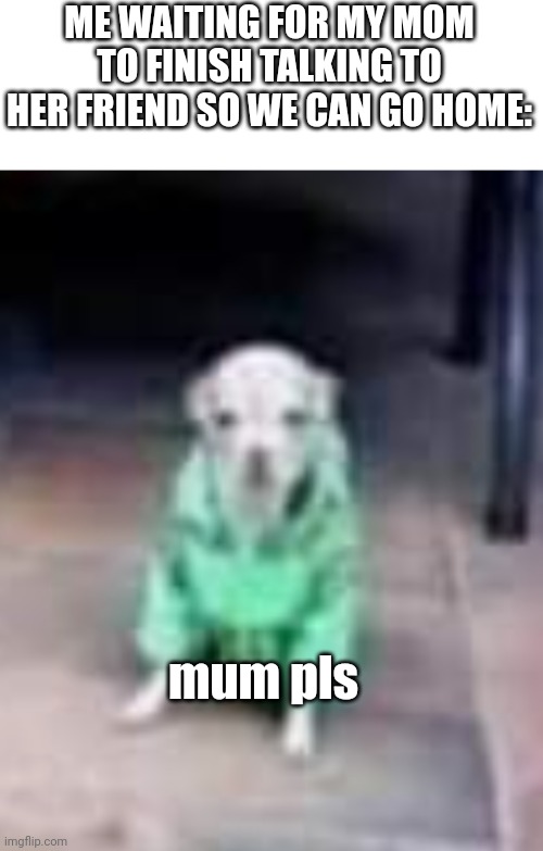 lol | ME WAITING FOR MY MOM TO FINISH TALKING TO HER FRIEND SO WE CAN GO HOME:; mum pls | image tagged in dog,doggo | made w/ Imgflip meme maker