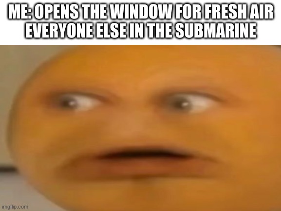 well | ME: OPENS THE WINDOW FOR FRESH AIR
EVERYONE ELSE IN THE SUBMARINE | image tagged in memes,lol | made w/ Imgflip meme maker