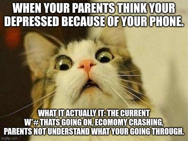 Scared Cat | WHEN YOUR PARENTS THINK YOUR DEPRESSED BECAUSE OF YOUR PHONE. WHAT IT ACTUALLY IT: THE CURRENT W*# THATS GOING ON, ECOMOMY CRASHING, PARENTS NOT UNDERSTAND WHAT YOUR GOING THROUGH. | image tagged in memes,scared cat | made w/ Imgflip meme maker