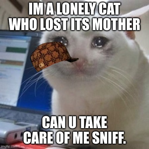 a lonely cat | IM A LONELY CAT WHO LOST ITS MOTHER; CAN U TAKE CARE OF ME SNIFF. | image tagged in crying cat | made w/ Imgflip meme maker