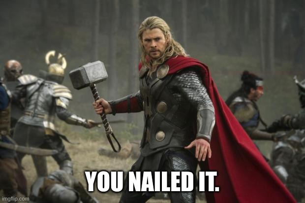 thor hammer | YOU NAILED IT. | image tagged in thor hammer | made w/ Imgflip meme maker