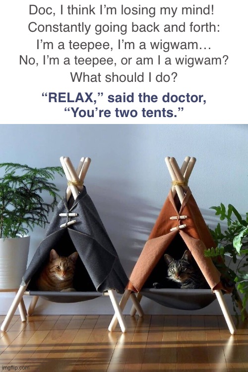 Too Tense | Doc, I think I’m losing my mind! Constantly going back and forth:; I’m a teepee, I’m a wigwam…; No, I’m a teepee, or am I a wigwam? What should I do? “RELAX,” said the doctor,
“You’re two tents.” | image tagged in funny memes,bad jokes,eyeroll,too tense | made w/ Imgflip meme maker