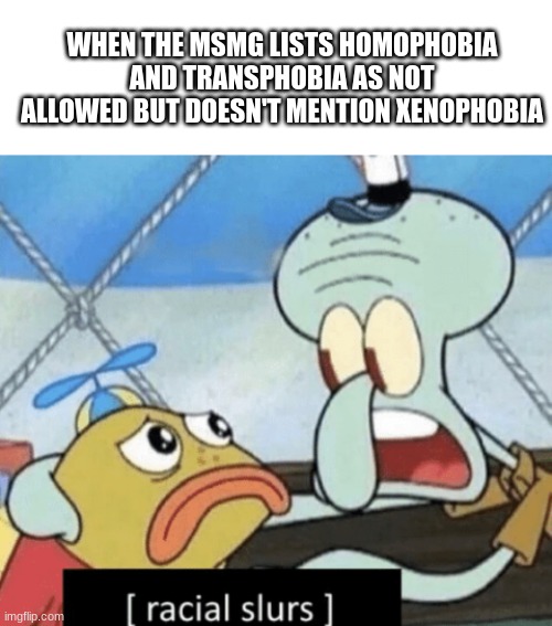 e | WHEN THE MSMG LISTS HOMOPHOBIA AND TRANSPHOBIA AS NOT ALLOWED BUT DOESN'T MENTION XENOPHOBIA | image tagged in blank white template,racial slurs | made w/ Imgflip meme maker