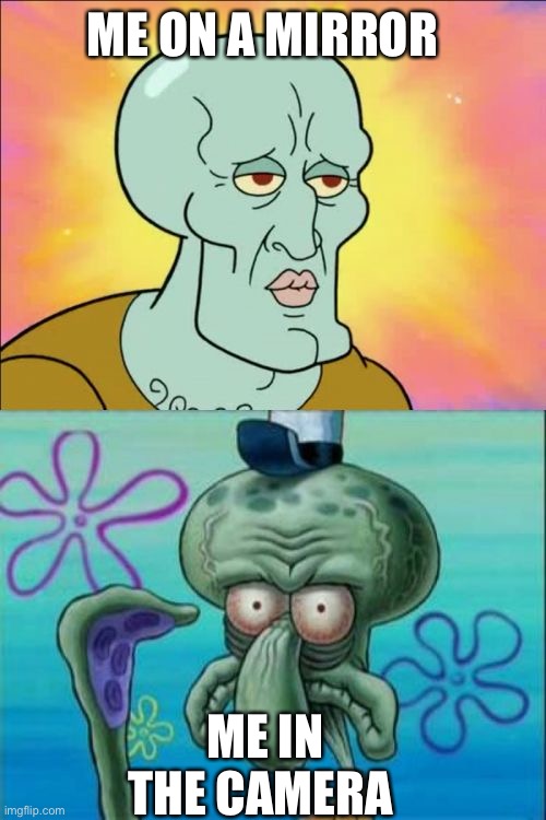 What I look like …. | ME ON A MIRROR; ME IN THE CAMERA | image tagged in memes,squidward | made w/ Imgflip meme maker