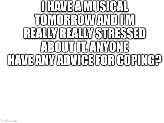 Need advice | I HAVE A MUSICAL TOMORROW AND I’M REALLY REALLY STRESSED ABOUT IT. ANYONE HAVE ANY ADVICE FOR COPING? | image tagged in blank white template | made w/ Imgflip meme maker