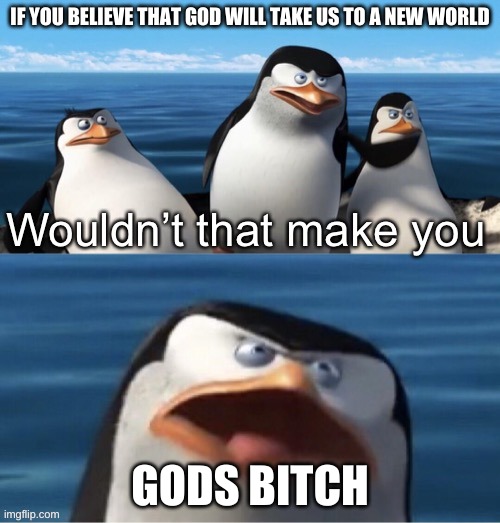 Gods Bitch | IF YOU BELIEVE THAT GOD WILL TAKE US TO A NEW WORLD; GODS BITCH | image tagged in wouldn t that make you,religion,funny memes,bitch | made w/ Imgflip meme maker