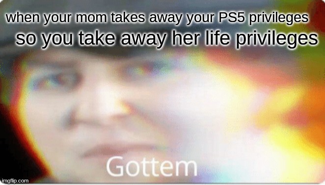 haha gottem bois | so you take away her life privileges; when your mom takes away your PS5 privileges | image tagged in gottem | made w/ Imgflip meme maker