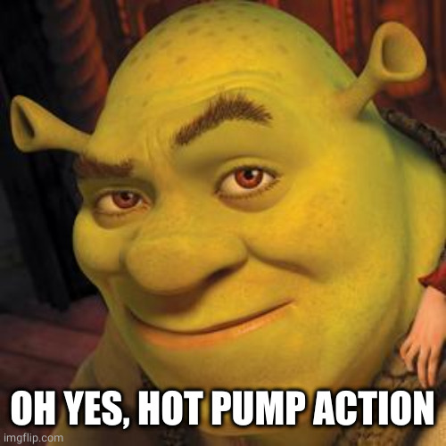 Shrek Sexy Face | OH YES, HOT PUMP ACTION | image tagged in shrek sexy face | made w/ Imgflip meme maker