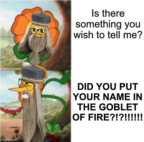 Bad cropping is bad | Is there something you wish to tell me? DID YOU PUT YOUR NAME IN THE GOBLET OF FIRE?!?!!!!!! | image tagged in reverse cuphead flower | made w/ Imgflip meme maker