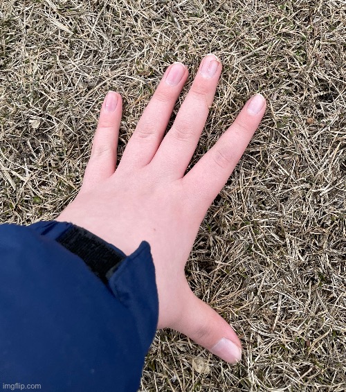 Grass | made w/ Imgflip meme maker