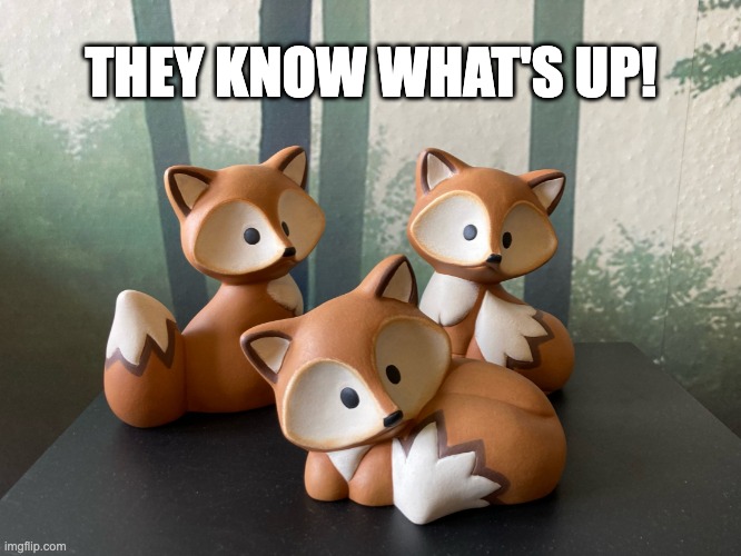 The Foxes... they know what's up! | THEY KNOW WHAT'S UP! | image tagged in curious foxes | made w/ Imgflip meme maker