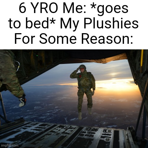 Always.... | 6 YRO Me: *goes to bed* My Plushies For Some Reason: | image tagged in army soldier jumping out of plane | made w/ Imgflip meme maker