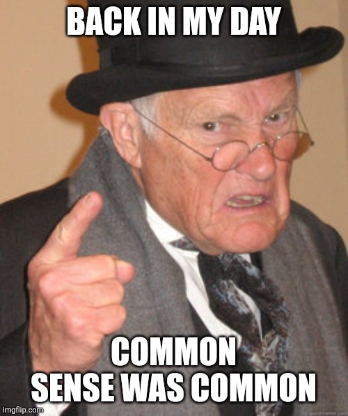 Back In My Day | BACK IN MY DAY; COMMON SENSE WAS COMMON | image tagged in memes,back in my day | made w/ Imgflip meme maker