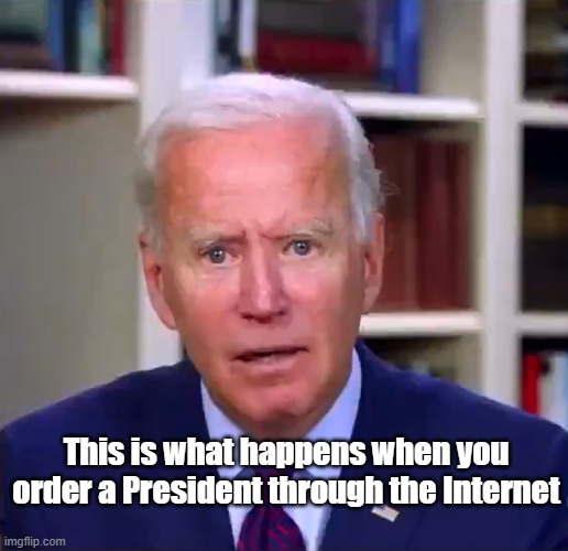 Order through internet | This is what happens when you order a President through the Internet | image tagged in slow joe biden dementia face | made w/ Imgflip meme maker