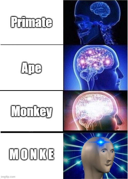 dbhuihfjgdf | Primate; Ape; Monkey; M O N K E | image tagged in memes,expanding brain | made w/ Imgflip meme maker