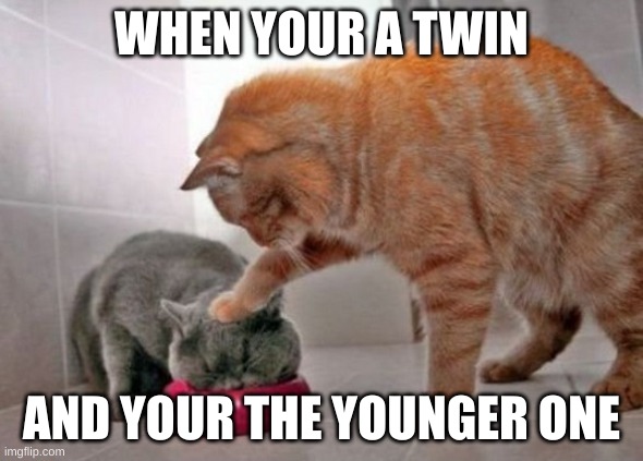 Force feed cat | WHEN YOUR A TWIN; AND YOUR THE YOUNGER ONE | image tagged in force feed cat,cats,cat,twins,siblings | made w/ Imgflip meme maker