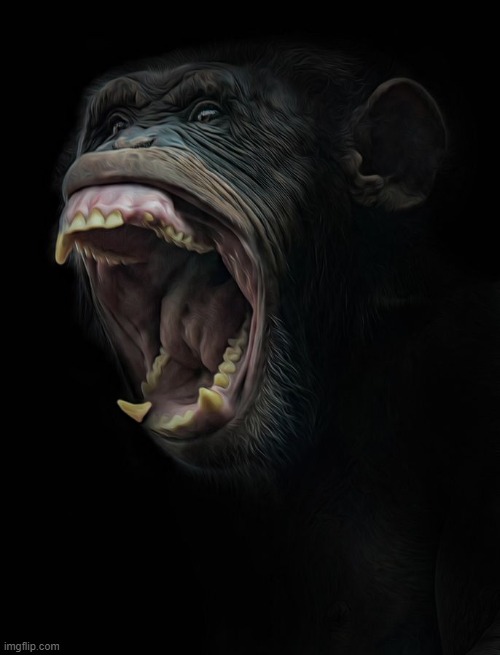 monke scream | image tagged in monke scream | made w/ Imgflip meme maker