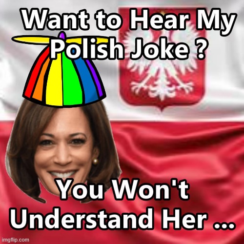 A Good Polish Joke Today !!! | image tagged in kamala harris,poland,europe trip | made w/ Imgflip meme maker