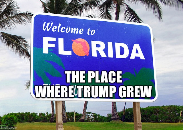 Florida | THE PLACE WHERE TRUMP GREW | image tagged in florida | made w/ Imgflip meme maker