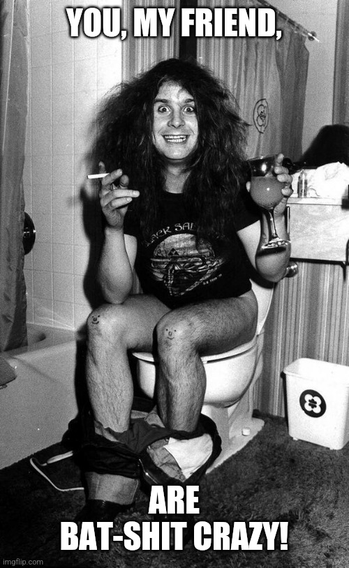 Ozzy | YOU, MY FRIEND, ARE BAT-SHIT CRAZY! | image tagged in ozzy | made w/ Imgflip meme maker