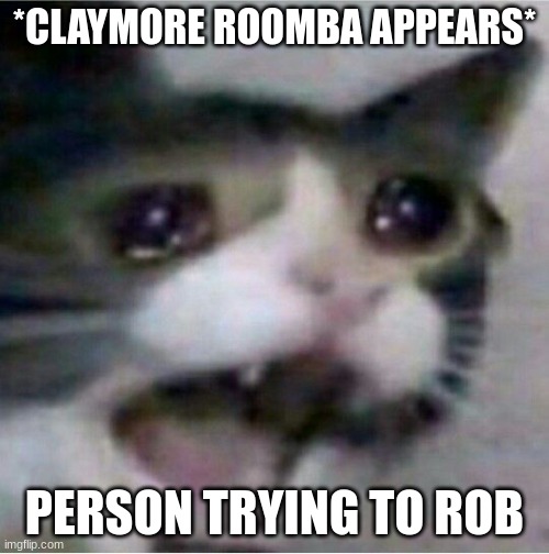 crying cat | *CLAYMORE ROOMBA APPEARS*; PERSON TRYING TO ROB | image tagged in crying cat | made w/ Imgflip meme maker