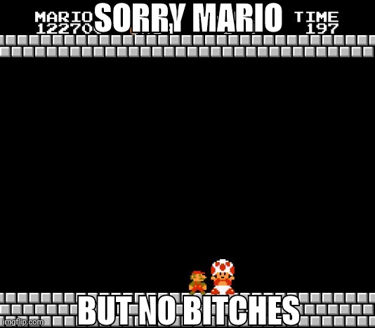 Mar10 day holy crap | SORRY MARIO; BUT NO BITCHES | image tagged in thank you mario | made w/ Imgflip meme maker