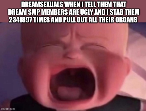 boss baby crying | DREAMSEXUALS WHEN I TELL THEM THAT DREAM SMP MEMBERS ARE UGLY AND I STAB THEM 2341897 TIMES AND PULL OUT ALL THEIR ORGANS | image tagged in boss baby crying | made w/ Imgflip meme maker