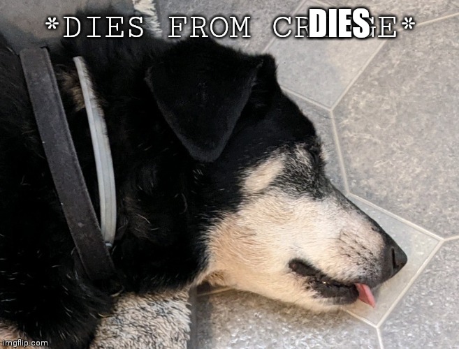 Moose | DIES | image tagged in moose | made w/ Imgflip meme maker