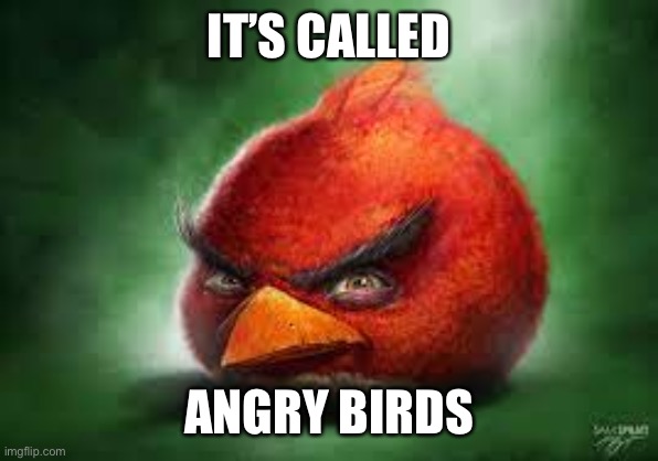 Realistic Red Angry Birds | IT’S CALLED ANGRY BIRDS | image tagged in realistic red angry birds | made w/ Imgflip meme maker